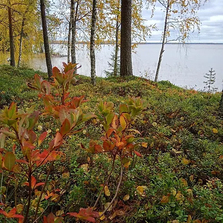 Tunnelmallinen Saarimoekki Viinijaerven Rannalla