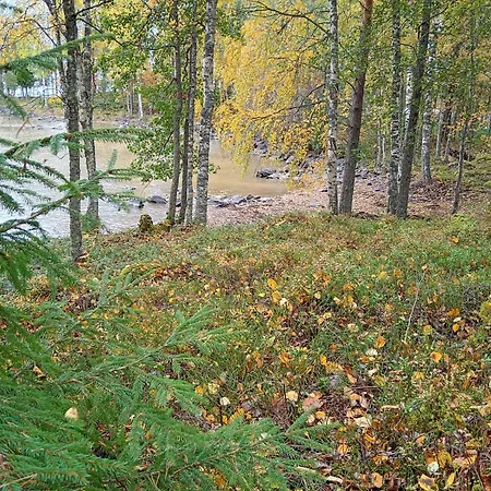 Tunnelmallinen Saarimoekki Viinijaerven Rannalla Alpstuga