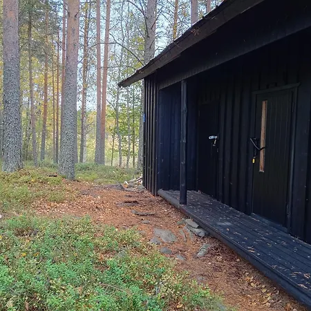 Tunnelmallinen Saarimoekki Viinijaerven Rannalla